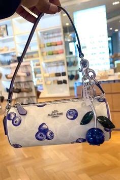 coach outlet fruit collection 2024